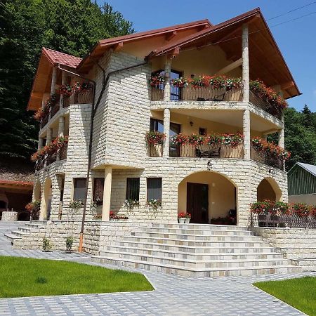 Casa Andra Hotel Slanic-Moldova Bagian luar foto