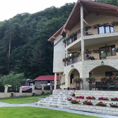 Casa Andra Hotel Slanic-Moldova Bagian luar foto