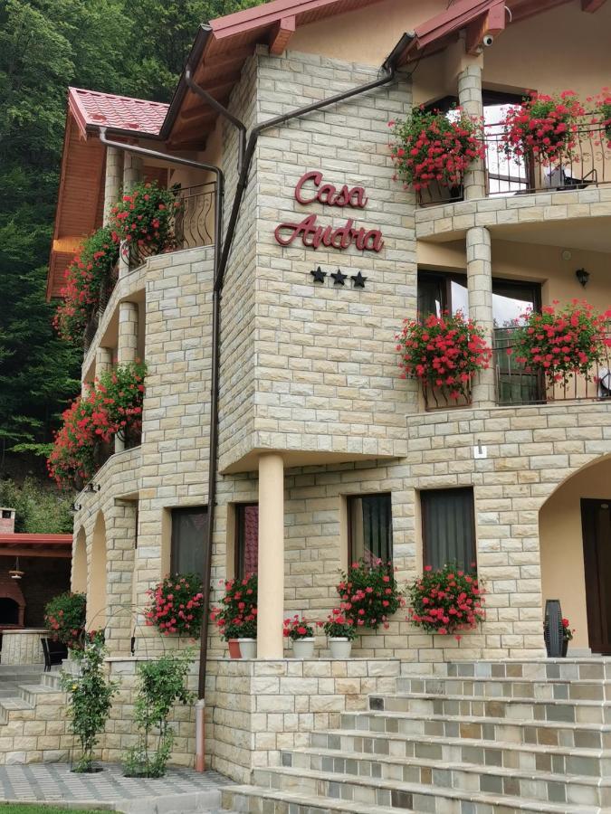 Casa Andra Hotel Slanic-Moldova Bagian luar foto