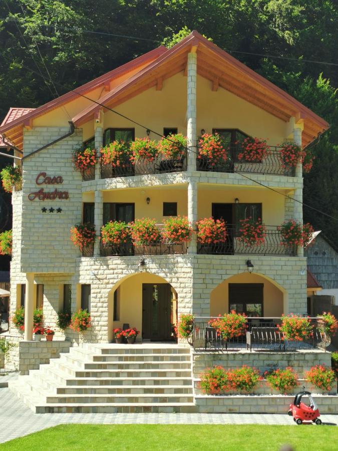 Casa Andra Hotel Slanic-Moldova Bagian luar foto