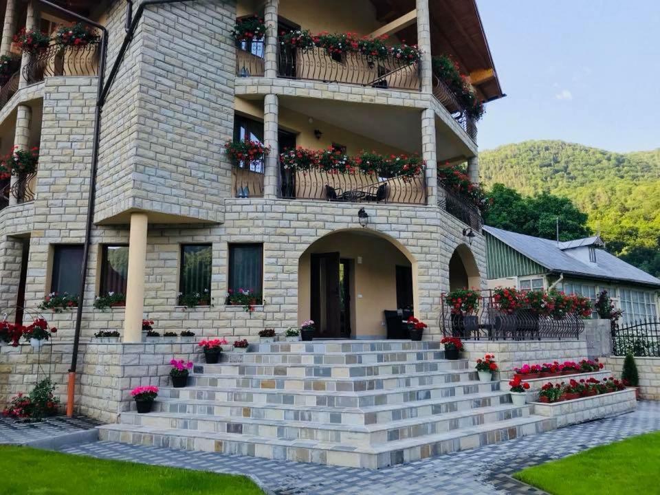 Casa Andra Hotel Slanic-Moldova Bagian luar foto