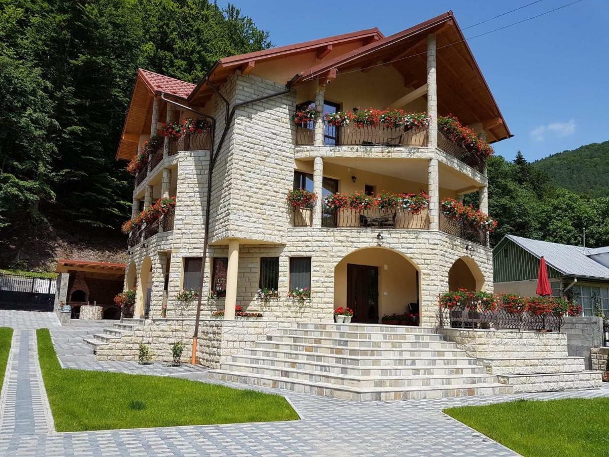 Casa Andra Hotel Slanic-Moldova Bagian luar foto