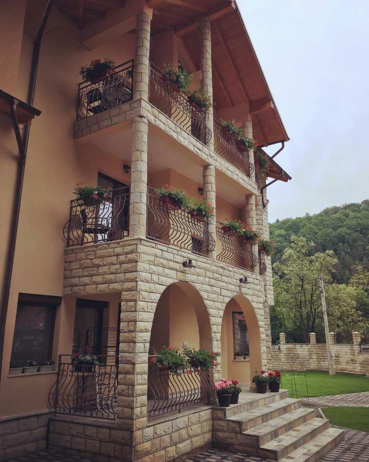 Casa Andra Hotel Slanic-Moldova Bagian luar foto
