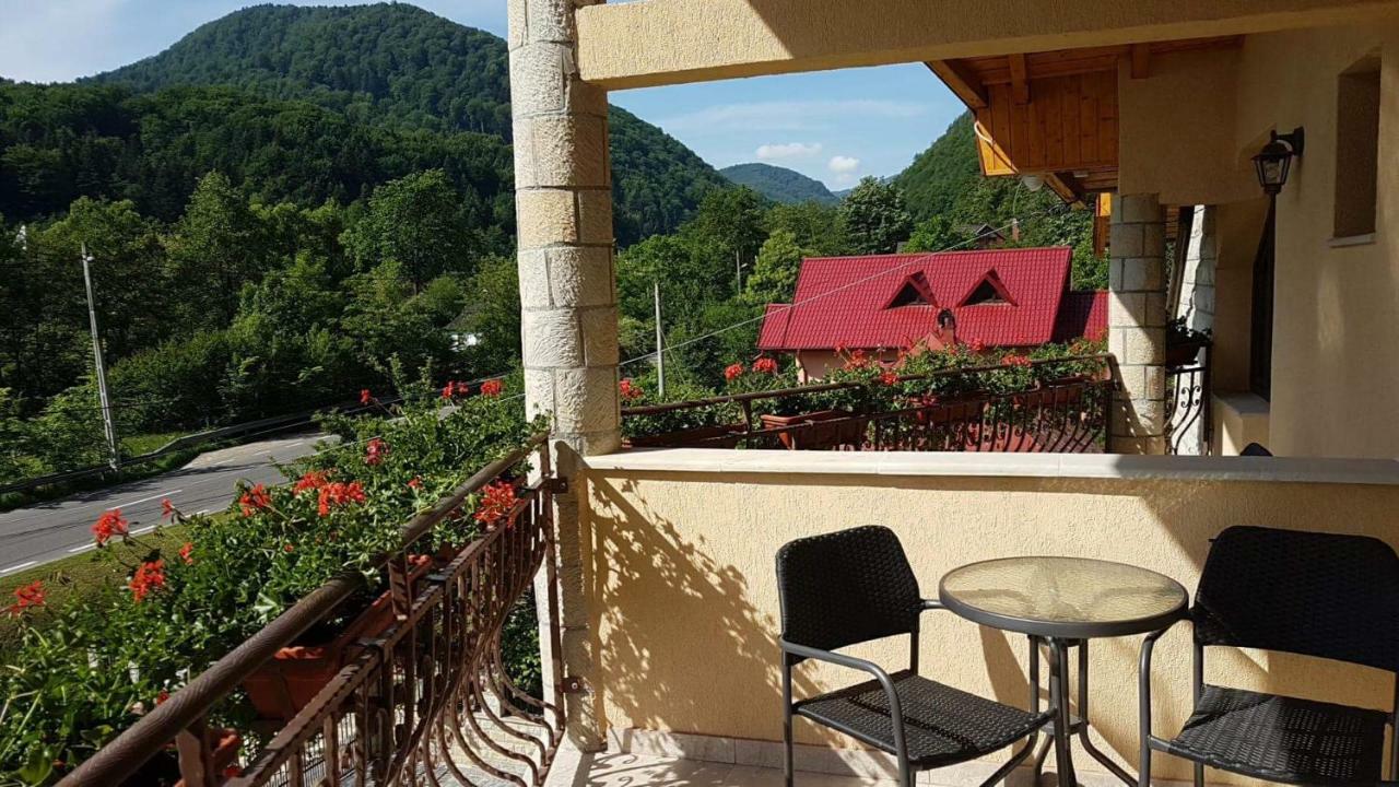 Casa Andra Hotel Slanic-Moldova Bagian luar foto