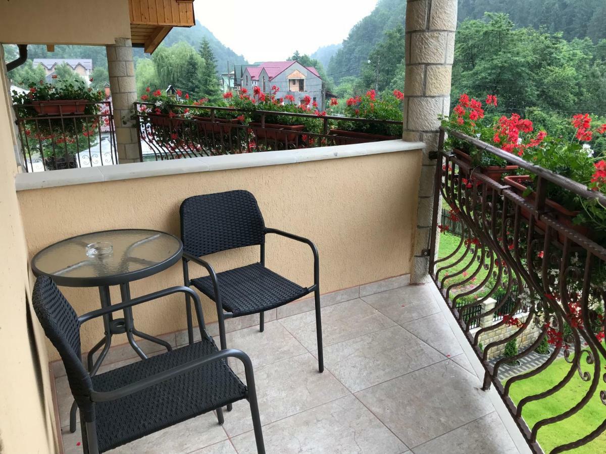 Casa Andra Hotel Slanic-Moldova Bagian luar foto