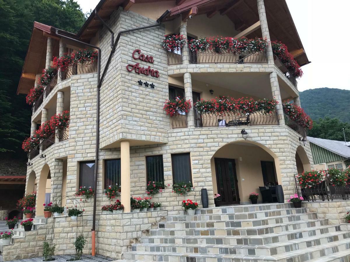 Casa Andra Hotel Slanic-Moldova Bagian luar foto