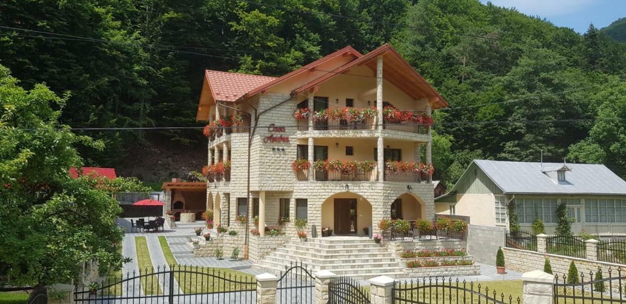 Casa Andra Hotel Slanic-Moldova Bagian luar foto