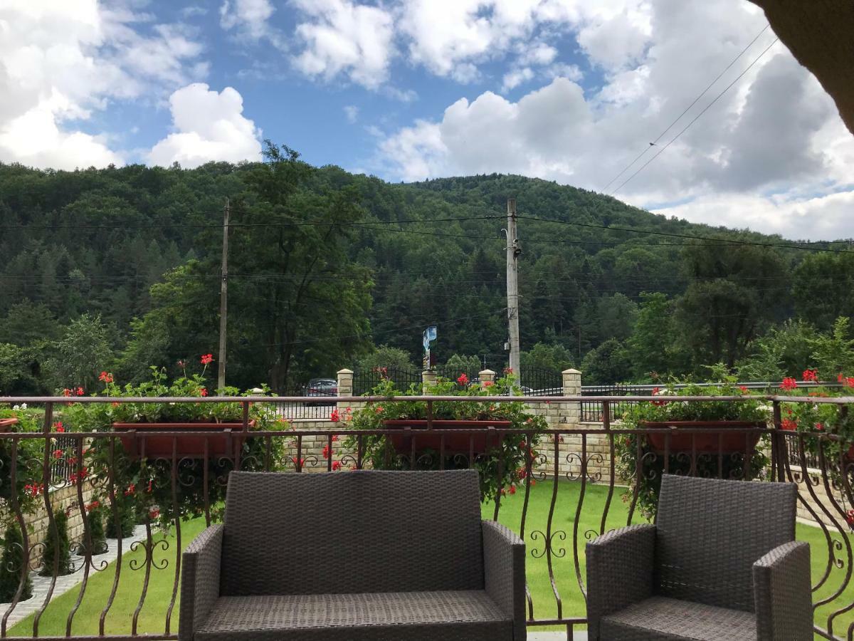 Casa Andra Hotel Slanic-Moldova Bagian luar foto