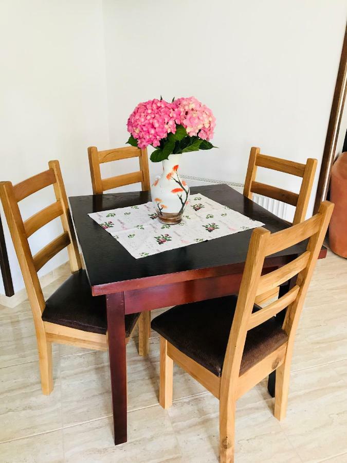 Casa Andra Hotel Slanic-Moldova Bagian luar foto