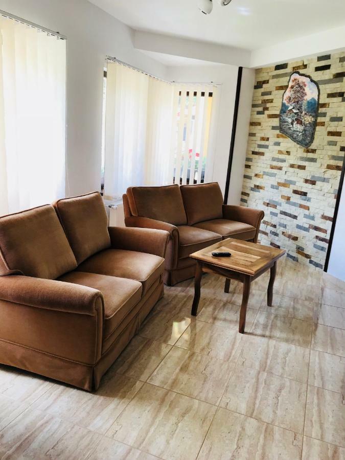 Casa Andra Hotel Slanic-Moldova Bagian luar foto