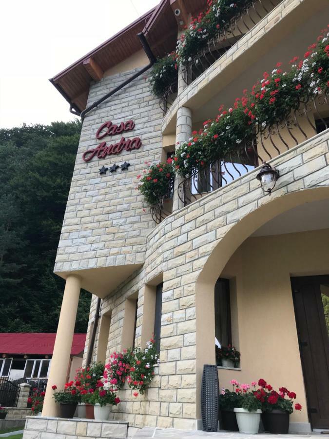 Casa Andra Hotel Slanic-Moldova Bagian luar foto